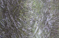 Tansor fibreglass roof work